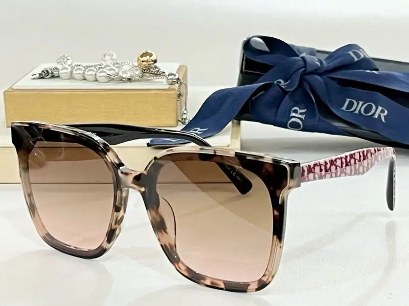 Dior Glasses smh (47)